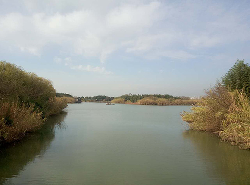 888电子游戏登录入口