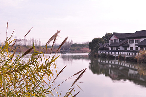 888电子游戏登录入口