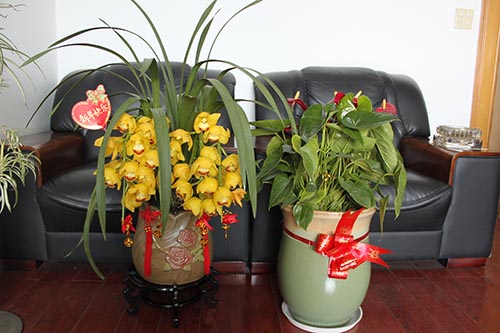 888电子游戏登录入口