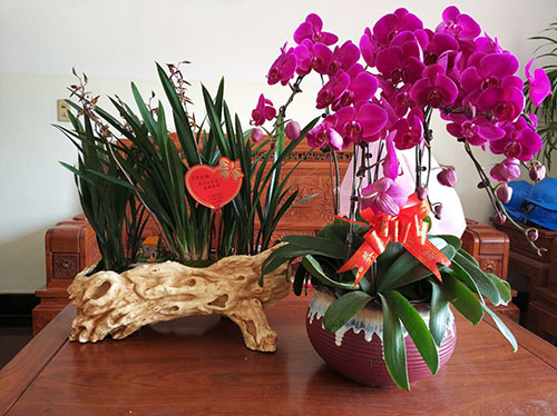 888电子游戏登录入口